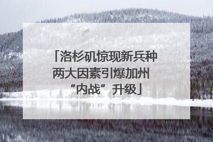 洛杉矶惊现新兵种 两大因素引爆加州“内战”升级