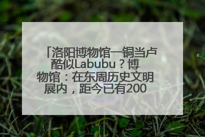 洛阳博物馆一铜当卢酷似Labubu？博物馆：在东周历史文明展内，距今已有2000多年历史