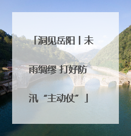 洞见岳阳丨未雨绸缪 打好防汛“主动仗”