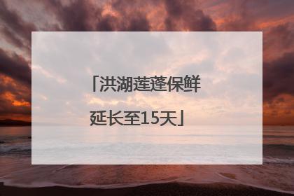 洪湖莲蓬保鲜延长至15天