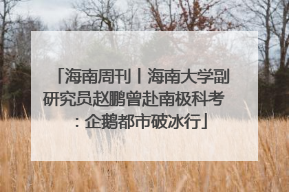 海南周刊丨海南大学副研究员赵鹏曾赴南极科考：企鹅都市破冰行