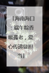 海南海口：端午粽香暖孤老，爱心传递显担当