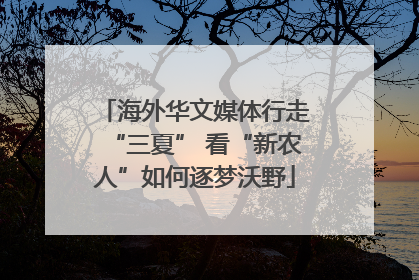 海外华文媒体行走“三夏” 看“新农人”如何逐梦沃野