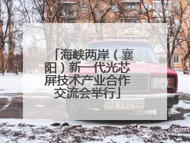 海峡两岸（襄阳）新一代光芯屏技术产业合作交流会举行