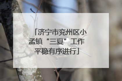济宁市兖州区小孟镇“三夏”工作平稳有序进行