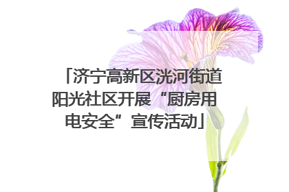 济宁高新区洸河街道阳光社区开展“厨房用电安全”宣传活动