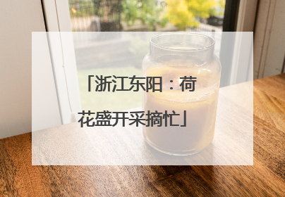 浙江东阳：荷花盛开采摘忙