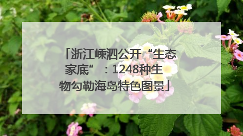 浙江嵊泗公开“生态家底”：1248种生物勾勒海岛特色图景
