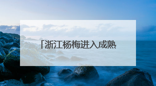浙江杨梅进入成熟上市期 今年总产量预计74万吨