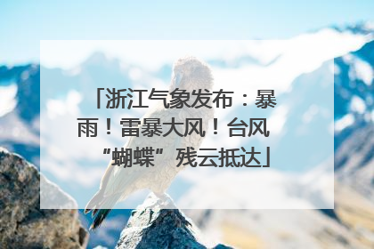 浙江气象发布：暴雨！雷暴大风！台风“蝴蝶”残云抵达