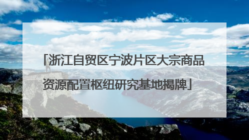 浙江自贸区宁波片区大宗商品资源配置枢纽研究基地揭牌