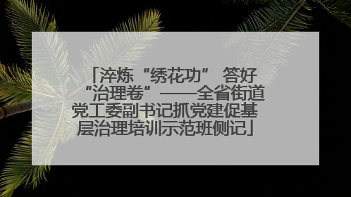 淬炼“绣花功” 答好“治理卷”——全省街道党工委副书记抓党建促基层治理培训示范班侧记