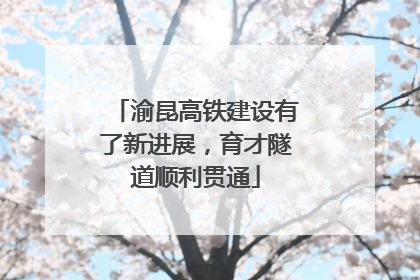 渝昆高铁建设有了新进展，育才隧道顺利贯通