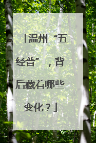 温州“五经普”，背后藏着哪些变化？