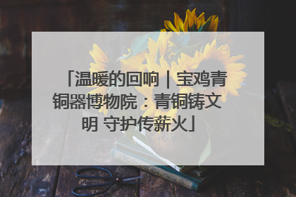 温暖的回响｜宝鸡青铜器博物院：青铜铸文明 守护传薪火
