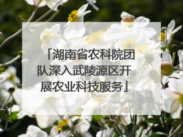 湖南省农科院团队深入武陵源区开展农业科技服务