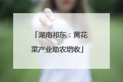 湖南祁东：黄花菜产业助农增收