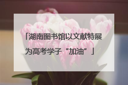 湖南图书馆以文献特展为高考学子“加油”