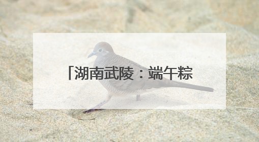 湖南武陵：端午粽飘香 亲情暖高墙