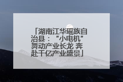 湖南江华瑶族自治县：“小电机”舞动产业长龙 奔赴千亿产业盛景