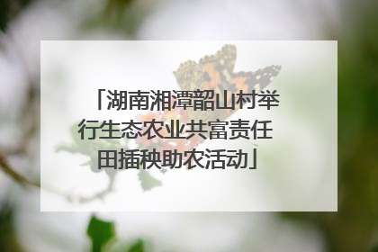 湖南湘潭韶山村举行生态农业共富责任田插秧助农活动