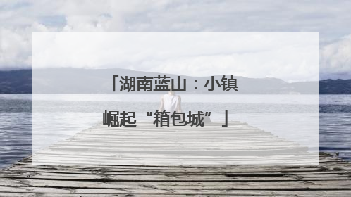 湖南蓝山：小镇崛起“箱包城”