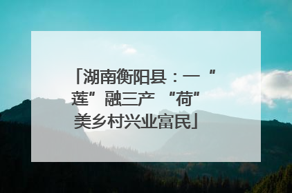 湖南衡阳县：一“莲”融三产 “荷”美乡村兴业富民
