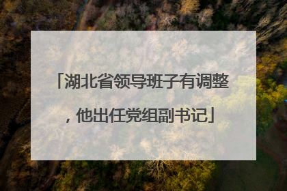 湖北省领导班子有调整，他出任党组副书记