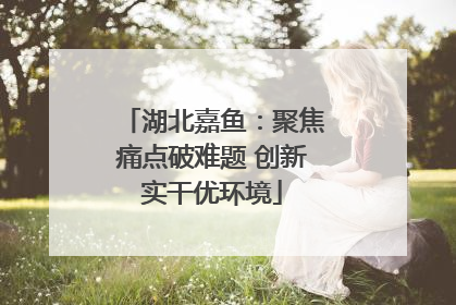 湖北嘉鱼：聚焦痛点破难题 创新实干优环境