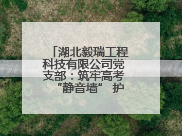 湖北毅瑞工程科技有限公司党支部：筑牢高考“静音墙” 护航学子逐梦路