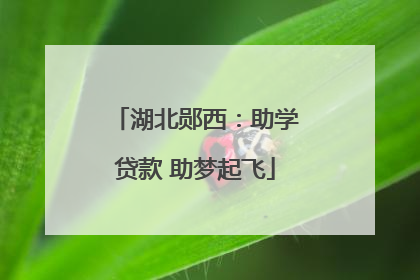 湖北郧西：助学贷款 助梦起飞