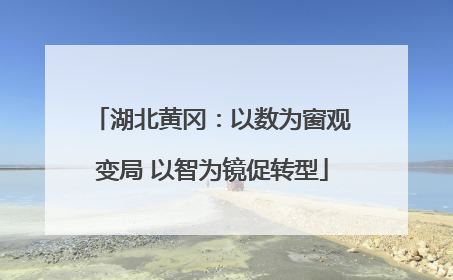 湖北黄冈：以数为窗观变局 以智为镜促转型