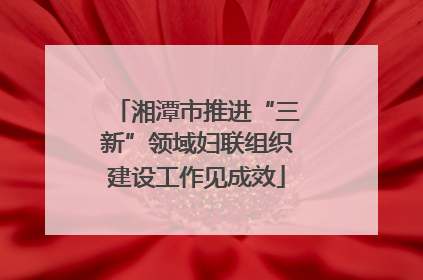 湘潭市推进“三新”领域妇联组织建设工作见成效