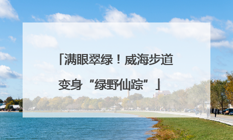 满眼翠绿！威海步道变身“绿野仙踪”