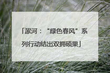 漯河：“绿色春风”系列行动结出双拥硕果
