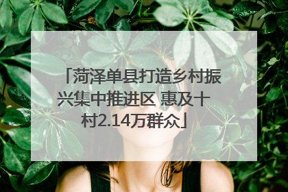菏泽单县打造乡村振兴集中推进区 惠及十村2.14万群众