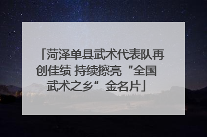 菏泽单县武术代表队再创佳绩 持续擦亮“全国武术之乡”金名片