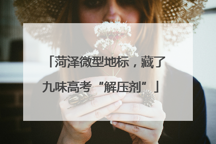 菏泽微型地标，藏了九味高考“解压剂”