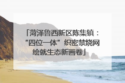 菏泽鲁西新区陈集镇：“四位一体”织密禁烧网 绘就生态新画卷