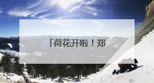 荷花开啦！郑州十大免费赏荷好去处→