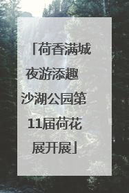 荷香满城夜游添趣 沙湖公园第11届荷花展开展