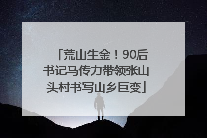 荒山生金！90后书记马传力带领张山头村书写山乡巨变