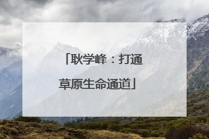 耿学峰：打通草原生命通道