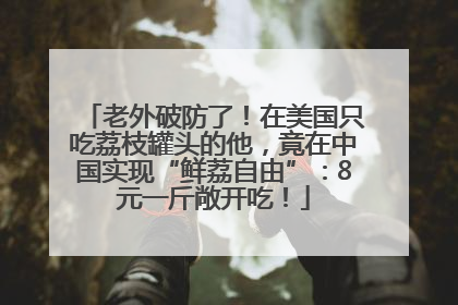 老外破防了！在美国只吃荔枝罐头的他，竟在中国实现“鲜荔自由”：8元一斤敞开吃！