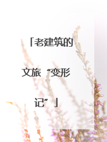 老建筑的文旅“变形记”