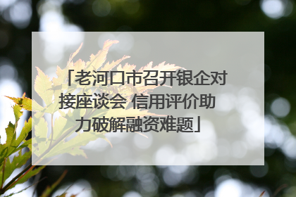 老河口市召开银企对接座谈会 信用评价助力破解融资难题