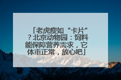老虎瘦如“卡片”？北京动物园：饲料能保障营养需求，它体重正常，放心吧