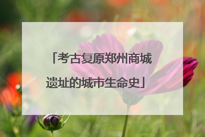 考古复原郑州商城遗址的城市生命史