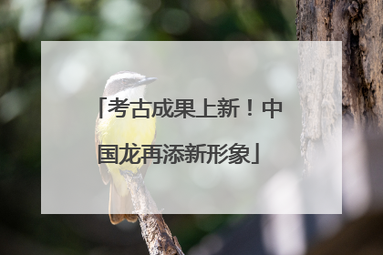 考古成果上新！中国龙再添新形象