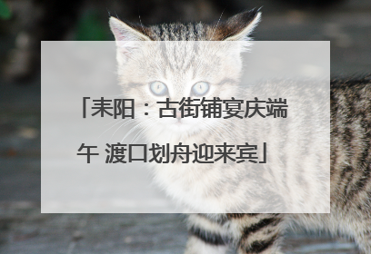 耒阳：古街铺宴庆端午 渡口划舟迎来宾